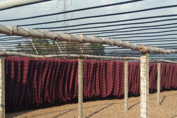 The awesome description