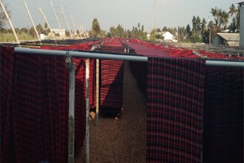 The awesome description